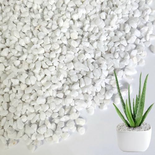 HappyFiller Succulent Cactus Soil Cover Gravels,Indoor Plants Decorative Small Rock,2-5mm Natural White Stones for Aquarium Fish Tank,Grow Media Cultivation Hydroponic Pebbles,1.1 LB