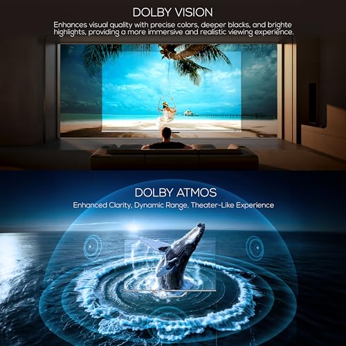 Image of Haier 109 cm (43 inches) QLED -Smart Google TV with Hands Free Voice Control 43S800QT (Grey)