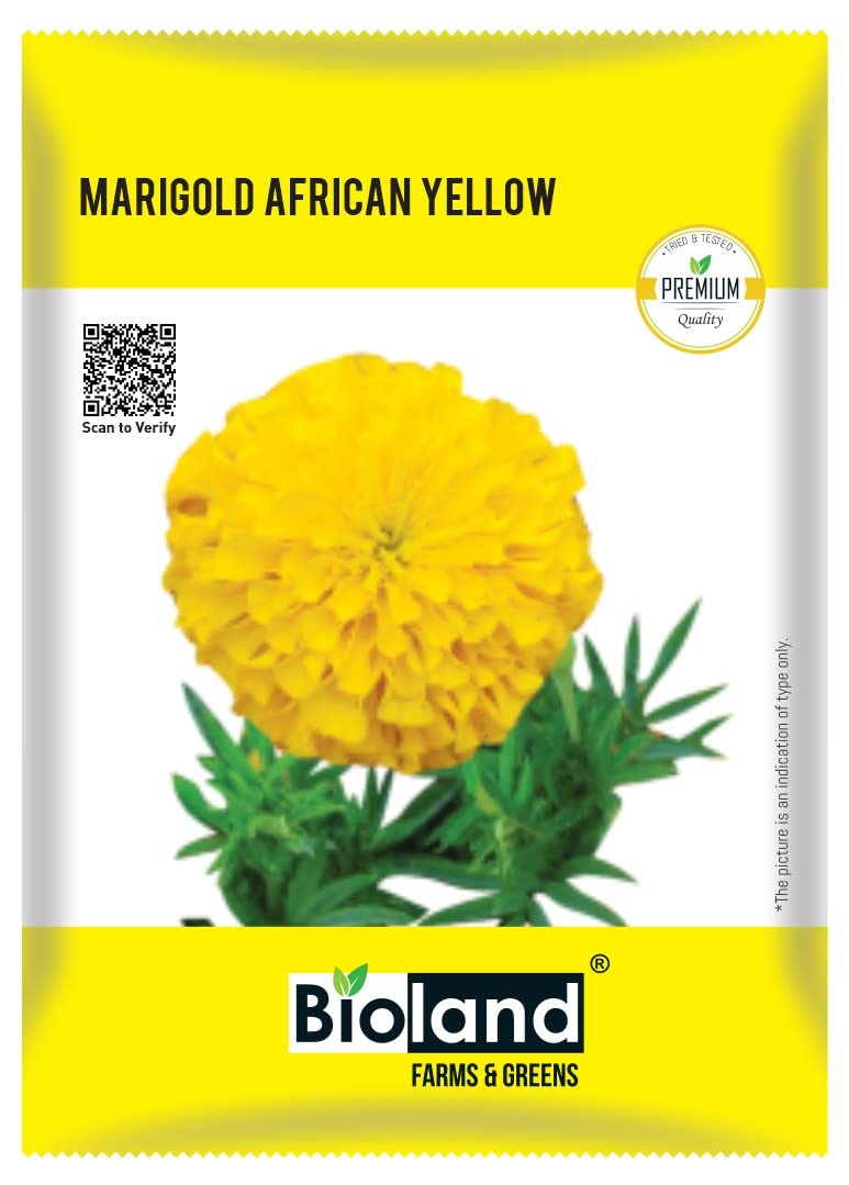 BIOLAND Marigold Yellow African (Genda Phool ka Beej) for sowing purpose for Kitchen/Home Gardening (B0B4PDXXQR) Amazon Price History, Amazon Price Tracker