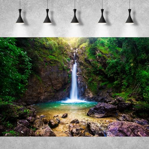 Image of Waterfall Aquarium Background Deep Forest Natural Landscape Terrarium Background Falls Green Jungle Plants Huge Rocks Fish Tank Background Waterfall Rock Reptile Habitat Background Vinyl 30x12in
