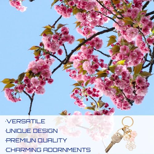 Image of Keychain for Women, Key Chains Women Cute, Enamel Durable Key Ring for Handbag & Bag.