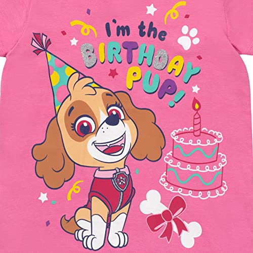 Paw Patrol Birthday Christmas Girls T-Shirt Toddler to Big Kid Sizes (2T - 10-12)2