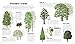 My First Encyclopedia of Trees: A Great Big Book Of Amazing Plants To Discover