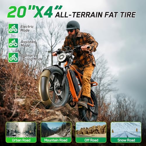 Image of TST Electric Bike for Adults, 1500W Peak Motor 60 Miles Fat Tire Ebike with 48V 15Ah Removable Battery 20 inch Fat Tire Electric Bike, Dual Suspension,R9