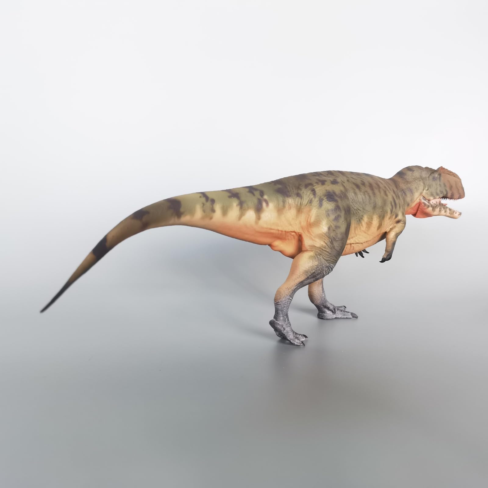 Haolonggood Giganotosaure Échelle 1:35 Modèle animal préhistorique mâchoire mobile