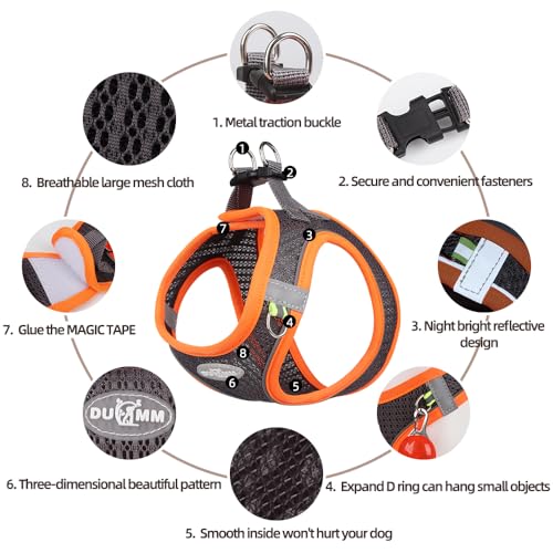 LOS ANDES Hundegeschirr mit Leine, Reflektierend, Weich Gepolstert, Air-Mesh, für Kleine Hunde und Katzen, in Grey Reflective, Größe S