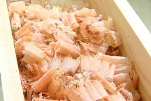 Amazon｜鰹節削り器 桐製 けずりっ子 日本鰹節協会推奨品｜スライサー