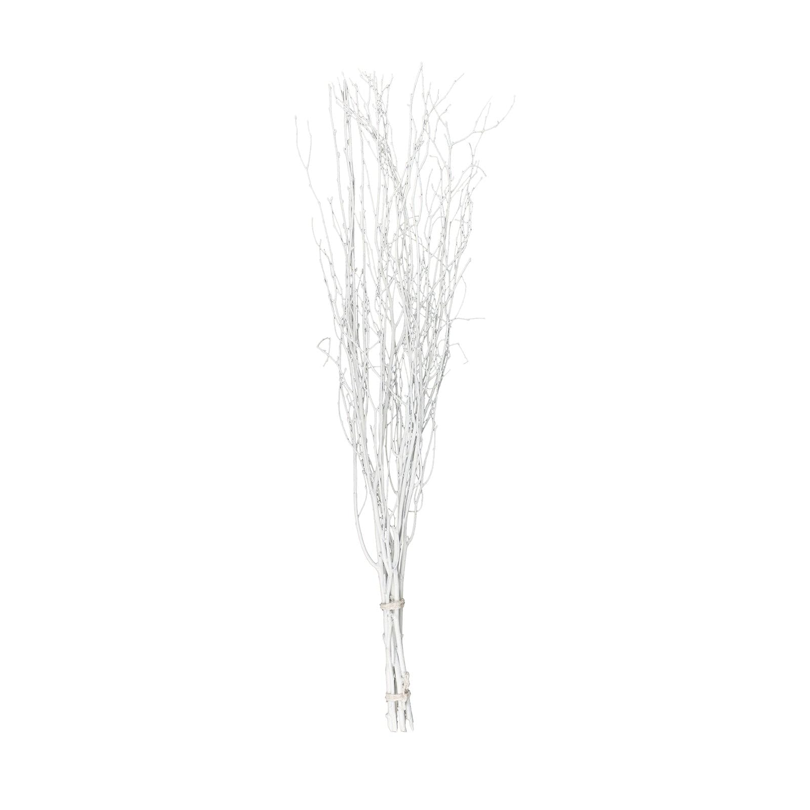 Balsa Circle 6 pcs White 46-inch Extra Long Decorative Birch Tree Branches Vase Fillers Rustic Dried Twigs Sticks Party Wedding Bouquets Centerpieces Supplies