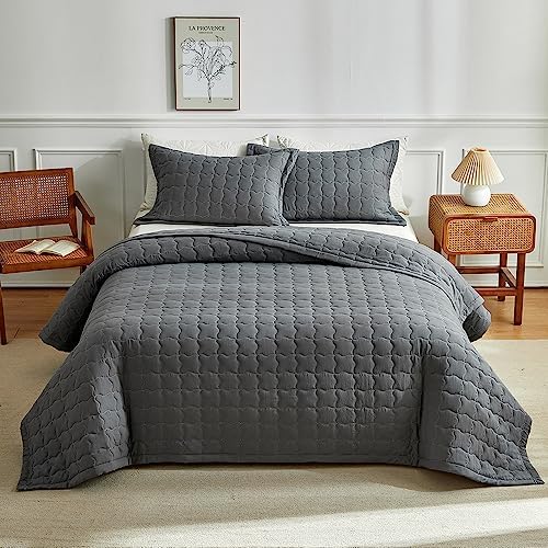 OLDBIAO Quilted Bedding Set 2 Pieces Microfiber Bedspread Bed Throw