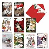 A1254 PETIGREET CAT-MASS CARDS: Assorted Box Of 10 Hilarious Christmas Cards, W/12 Envelopes (10 Designs, 1 Card Per Design)