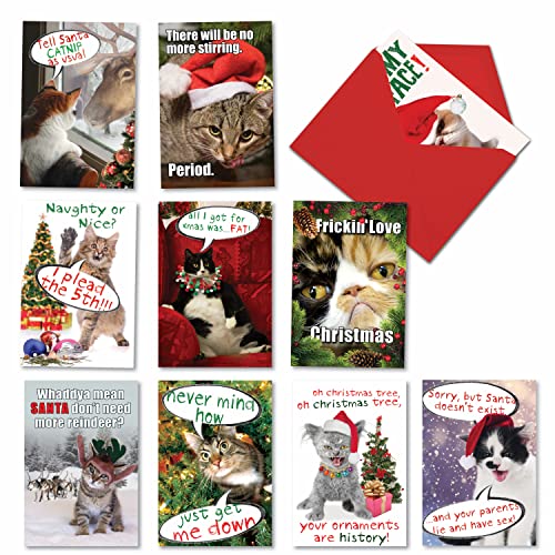 NobleWorks Variety Pack of 10 Funny Cats Christmas Greeting Cards with Envelopes, Kittens Humor Holiday Assortment for Men and Women - Petigreet Cat-Mass A1254