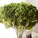 Youngman 5 Heads Hydrangea Beautiful Artificial Flower Bunch Bouquet Home Wedding Decor (Green)