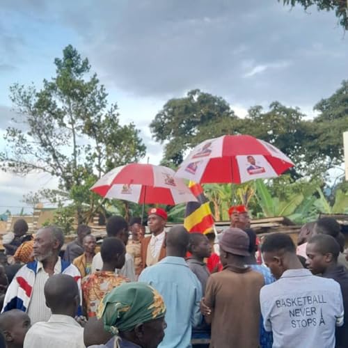 『amafafakanyi update news』のカバーアート