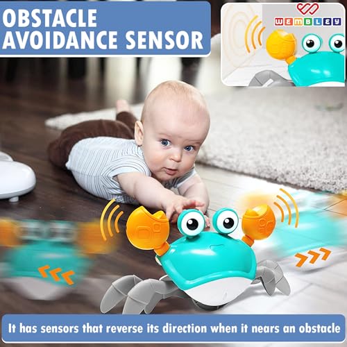 Image of Wembley Rolling Musical Monkey and Crawling Crab Toy Combo | Rechargeable Sensory Tummy Time Toys | Gift for Kids and Toddlers