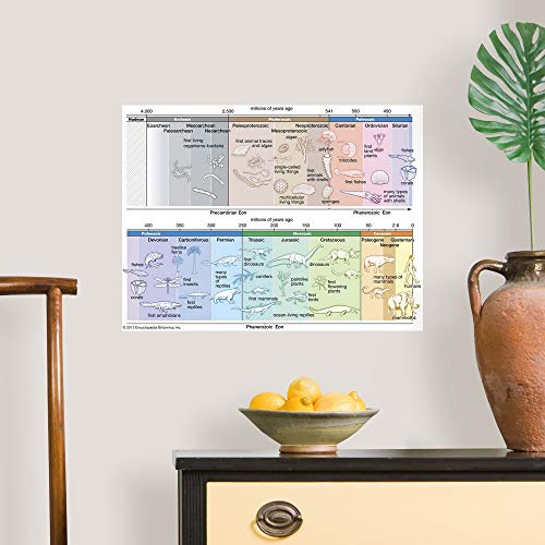 Greatbigcanvas Timeline Of Life On Earth Fine Art Unframed Print, Wildlife Home Decor Artwork, 24"X18" #TOP2