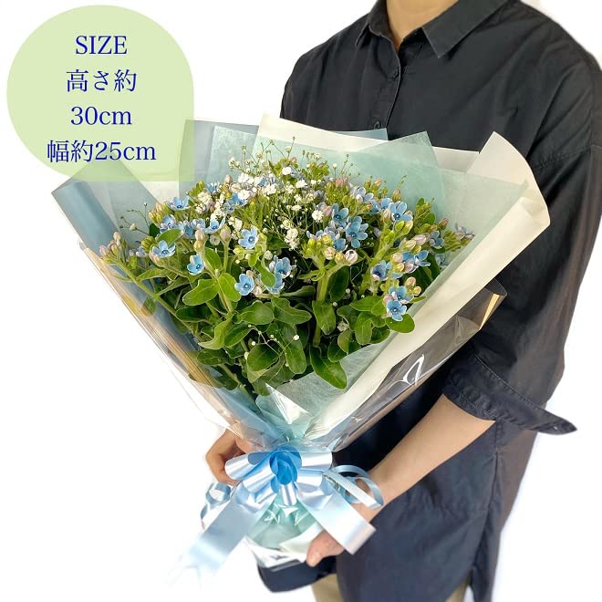 Amazon｜BisesFlower(ビズフラワー)【クール便出荷】【星形 ブルー