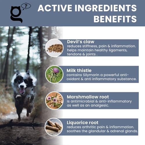 THE PET GURU - Joint Guru - Mobility Supplement for Dogs, 100ml - Natural Daily Support with Glucosamine & Devils Claw - Reduces Inflammation - Promotes Flexibility - Dog Health Hip & Joint Care - Image 3