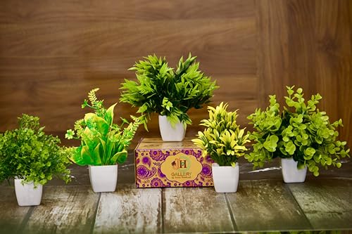 Image of JH Gallery Artificial Flowers, Small Indoor Potted Houseplants for Home Decor, Decoration Items for Living Room, Office and Bedroom, Artificial Plants with Pot (Pack of 5)