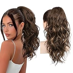 Chocolate Brown with Highlights