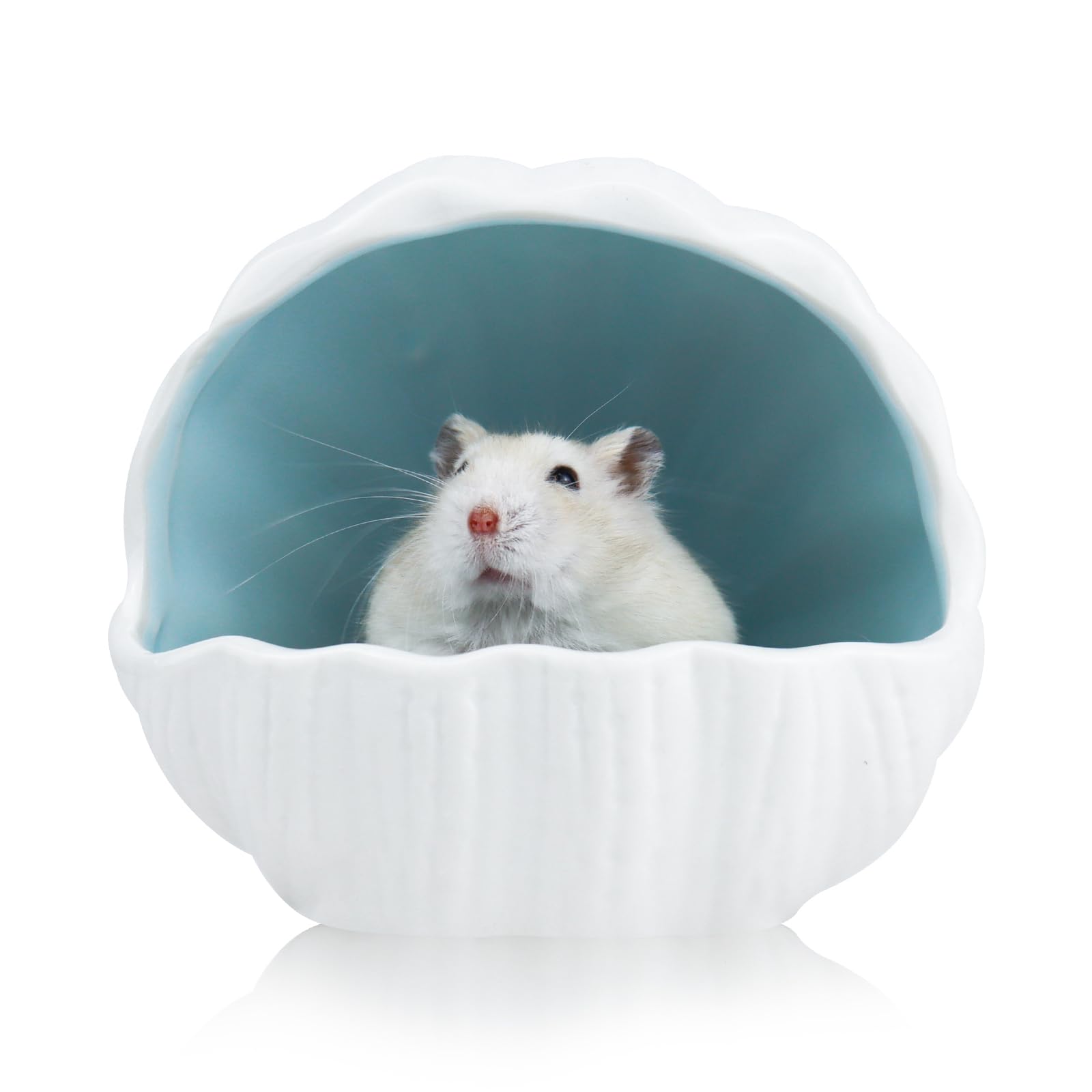 LuckyOpt Ceramic Hamster Hideout, Cute Shell-Shaped Small Animal Habitat