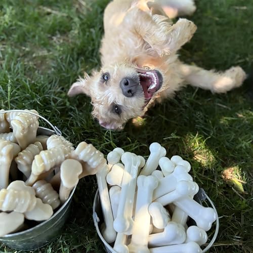 Nylabone 982903 Dura Power Chew, knochenförmig, Doppelpack mit Speck- und Hähnchengeschmack, für mittelgroße Hunde (bis 16 kg), M