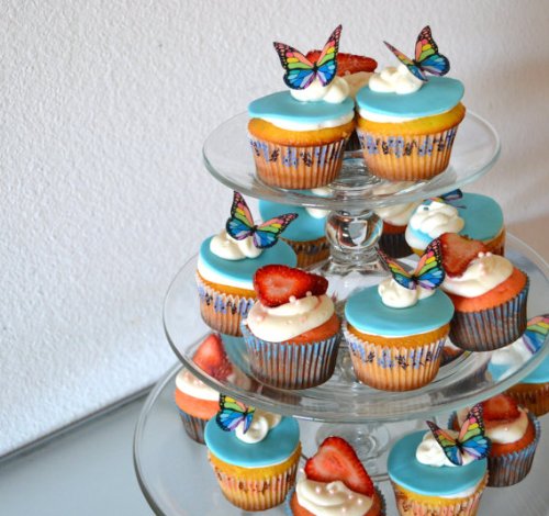 Sugar Robot Inc. Edible Butterflies Small Premium Crafted Made In The Usa Cake And Cupcake Toppers, Decoration (Rainbow Monarch) #TOP2