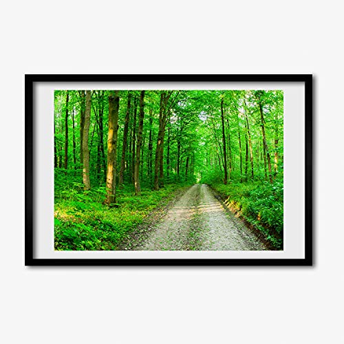 Cadre MDF 60x40 cm avec photo Arbres Dans la Foret Tulup