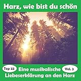 haus harz mieten  Im Harz steht ein Haus