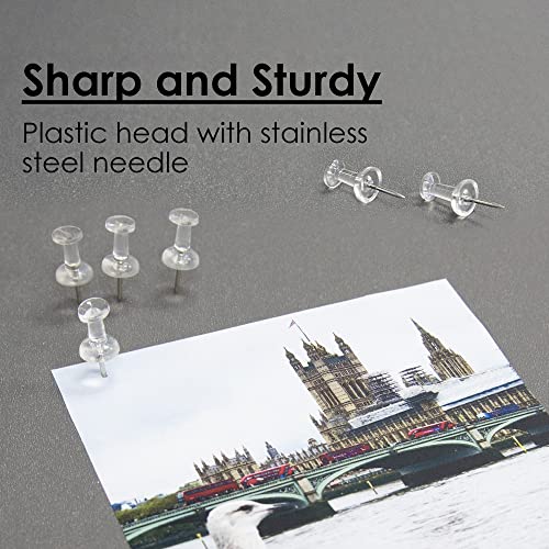 Bazic Transparent Push Pins, Clear, 100 Per Pack (Packaging May Vary) #TOP2