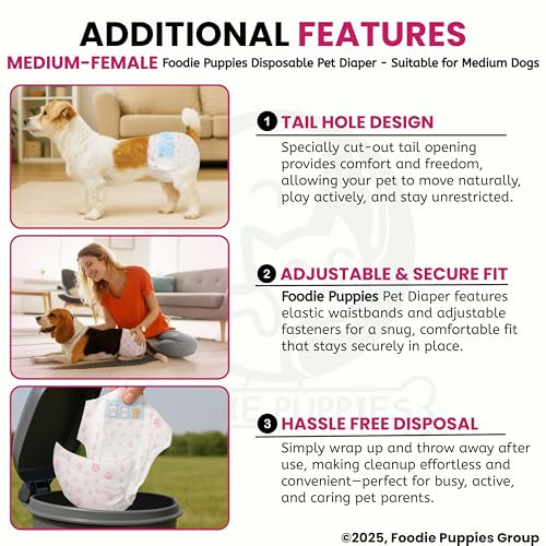Image of Foodie Puppies Dogs Disposable Diapers for Female Dog - (10Pcs, Medium) | Diaper Pants /Sanitary Cotton Underwear Nappy | Leak-Proof, Ultra-Absorbant | Daily and Travelling Purpose