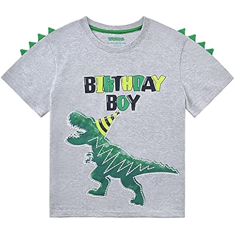 Dinosaur Birthday Boy T-Shirt - Gray Dino Tee Cover