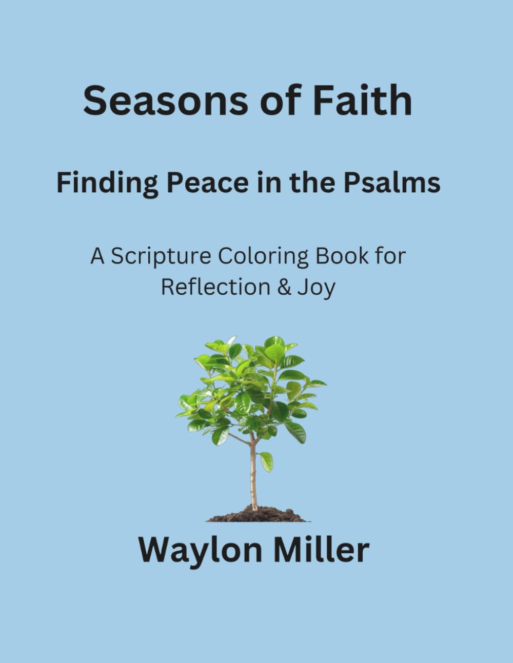 Seasons of Faith: Finding Peace in the Psalms