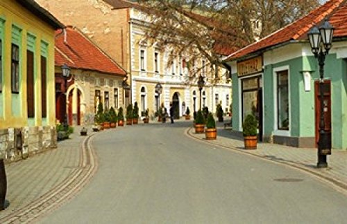 Posterazzi Main Street Tokaj Hungary Poster Print by Per Karlsson, (28 x 19)