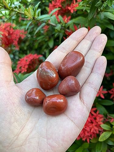 Image of GAF TREASURES 1 /2 LB Red Jasper Tumbled Stones, Polished Red Jasper Gemstone, Red Jasper Healing Crystals (Red Jasper)