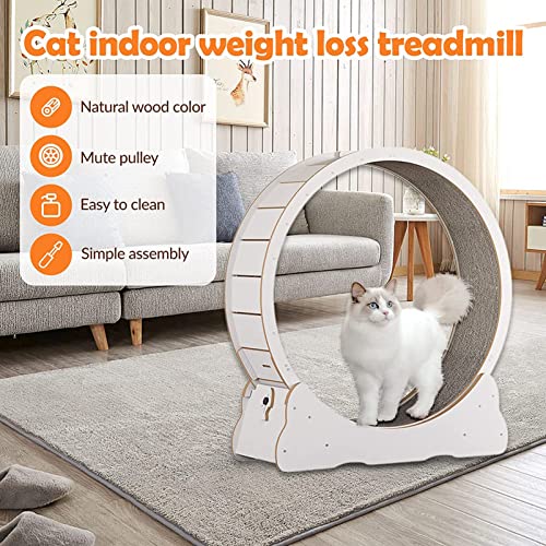 Rueda de ejercicio para gatos – Cinta de correr interior para animales pequeños, dispositivo de fitness y pérdida de peso, juguete para mascotas