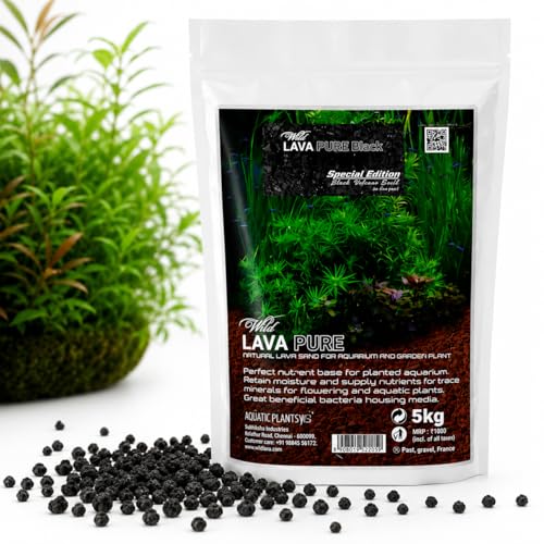 Image of VAYINATO Aquatic Remedies Wild Lava Pure Black 5Kg | Special Edition Black Volcano Gravel for Planted Aquarium, Aquascaping & Garden Plants | Natural Porous Lava Substrate for Fish & Shrimp Tanks