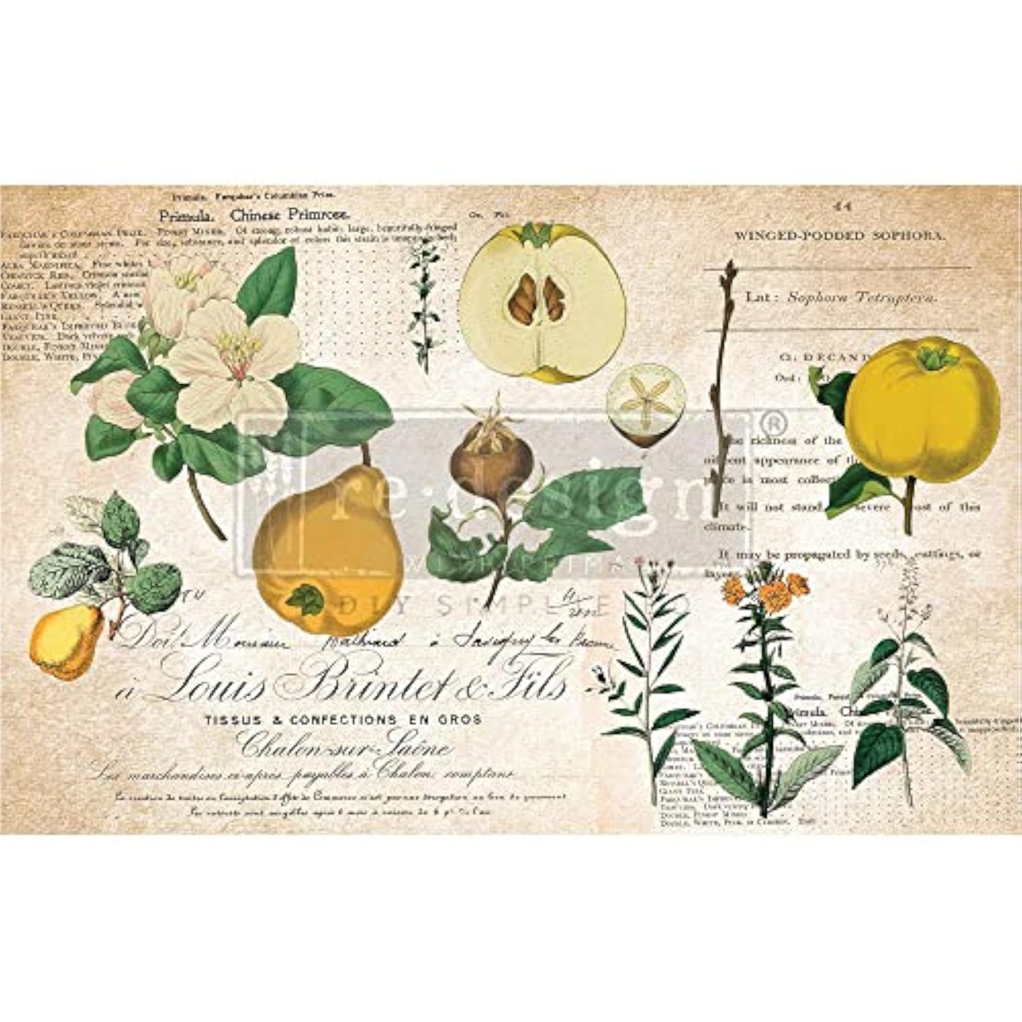 Primrose Decoupage Tissue Paper, 1 Sheet (19"x30")