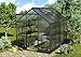 Produktbild Vitavia Gewächshaus Apollo 5000, HKP 6mm, anthrazit