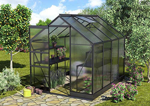 Preisvergleich Produktbild Vitavia Gewächshaus Apollo 5000, HKP 6mm, anthrazit