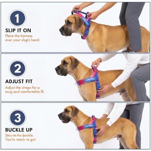 Image of Spark Paws No Pull Front Clip Dog Harness - Easy On, Padded and Lightweight | Two Clips, On in Seconds, Chest Bearing, Australian Style, No Throat Pressure, for Small Medium and Large Breeds