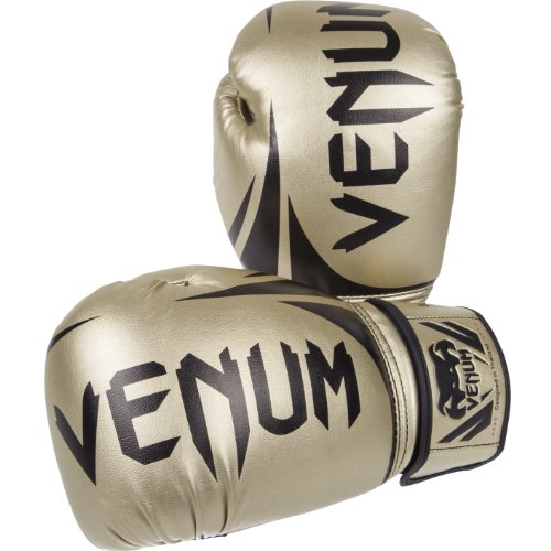 Image of Venum Challenger Boxing Gloves