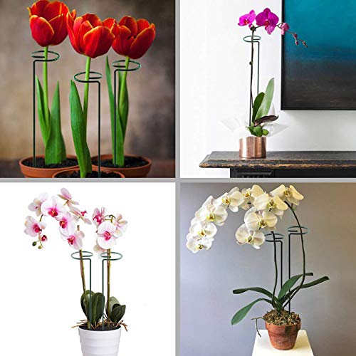 Acronde 5 Pcs Single Stem Plant Support Ring For Plant Support For Amaryllis Tomatoes Orchid Lily Peony Rose Flower Stem, Plant Cage, Plant Support #TOP2