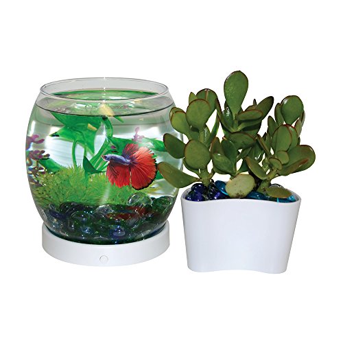 Elive Betta Fish Bowl / Betta Fish Tank With Planter, Small 0.75 Gallon Aquarium, Led Light Timer, White #TOP4