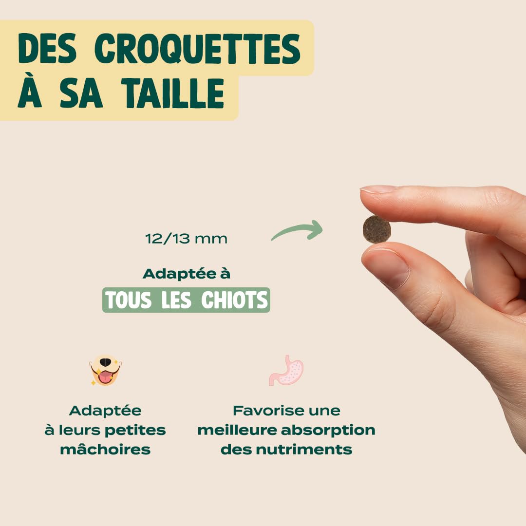 FRANKLIN – Croquette pour Chiot – 73% de Dinde et Truite – 6 kg | Sans Légumineuses et Sans Céréales – Riche en protéine – Digestion Facile – Croissance Optimale - Taille 13mm