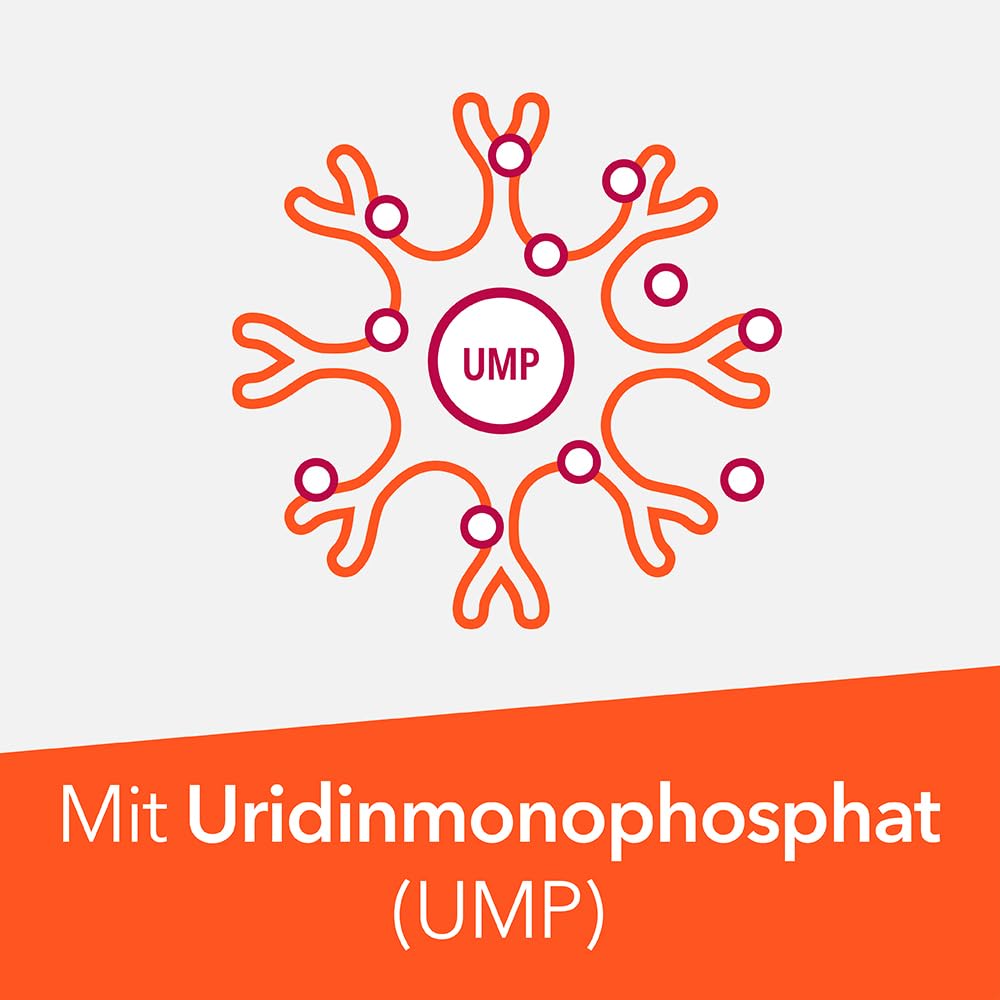 Neuropax-ratiopharm® forte im Sparset 2 x 80 Kapseln | B-Vitamine zur Unterstützung des Nervensystems*. Mit Uridinmonophosphat (UMP). Gut verträglich und nur 1 Kapsel täglich