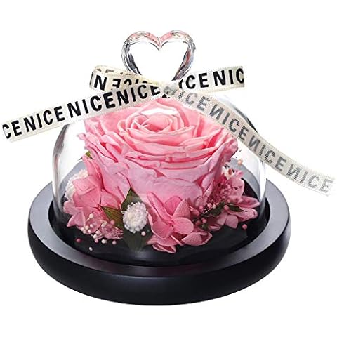 ANLUNOB Handmade Enchanted Rose Forever Rose - Anniversary Day Gift Preserved Rose - Birthday Gift Fresh Flowers - Beauty ad The Beast Rose for Girlfriend - Thanksgiving Gifts New Year Gifts Cover