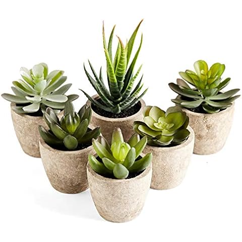 PRIMAISON Set of 6 Decorative Succulents Cover