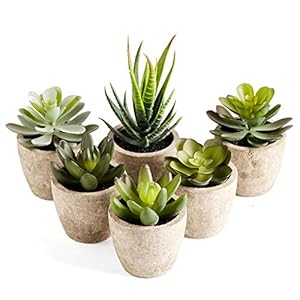 PRIMAISON Artificial Succulents Plants Potted Set-Decorative Fake Succulent Plant Faux Plastic Plant Indoor &Outdoor for House Office Desk Bathroom Kitchen DIY Decor Gift Set of 6