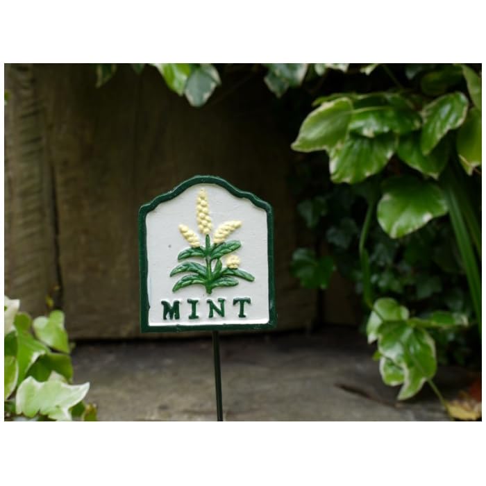 Metal Herb Markers Plants Labels Garden Sign Outdoor Herbs Tags Heavy Duty (Mint)