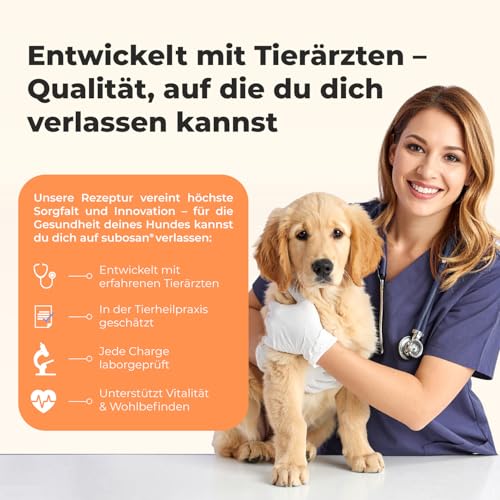 Vitamin B Komplex für Hunde - 120 Tabletten - Hochdosiert: Mit 8 B-Vitaminen (B1, B2, B3, B5, B6, B7, B9, B12) - Mit Tierärzten entwickelt, laborgeprüft & produziert in Deutschland